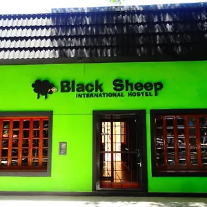 Black Sheep International Albergue
